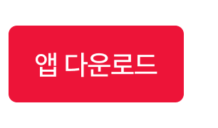 내 차 썬팅 교체 캠페인 안내